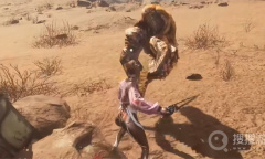 《剑星》大峡谷全收集方法