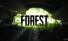 《森林之子》照明弹位置在哪里