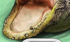 《全民剧本大师》鳄鱼拔牙通关方法