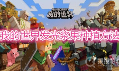 《我的世界》发光浆果怎么种