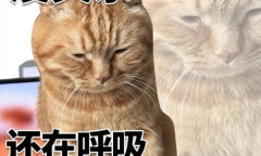 没关系系列表情包介绍