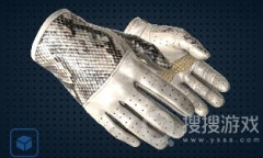 《csgo》手套价格排行介绍
