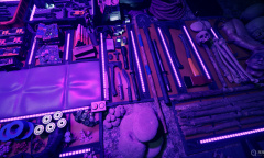 《森林之子》刷电池和电路板教程