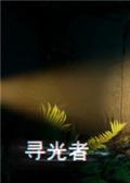 寻光者