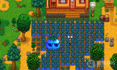 《星露谷物语》1.6巨大作物一览