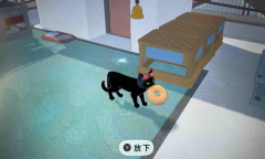 《小猫咪大城市》楼顶小猫贝果任务怎么做