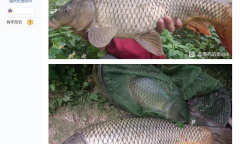 你怎么知道梗含义