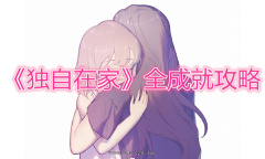 《独自在家》全成就攻略