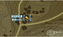 《塞尔达传说王国之泪》装点南阿卡莱驿站的画作通关方法