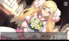 《奈的调整教育日记》全结局流程方法