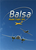 轻木模型飞行模拟器