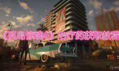 《孤岛惊魂6》治疗药获取教程
