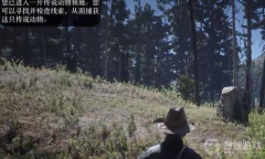 《荒野大镖客2》传说公鹿在哪