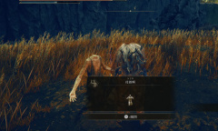 《艾尔登法环黄金树幽影》支线区域巫者村怎么进去