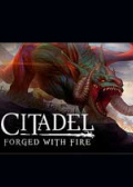 堡垒：火焰之炼