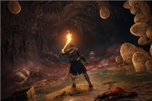 典藏版内容一览