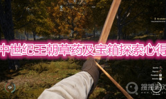 《中世纪王朝》草药及宝箱探索详解