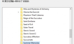 《夏日狂想曲》怎么装补丁