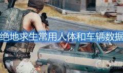 《绝地求生》常用人体和车辆数据