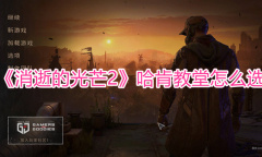 《消逝的光芒2》哈肯教堂怎么选