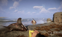 《森林之子》冬天喝水教程