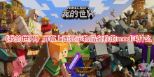 《我的世界》屏幕上面显示物品名称的mod叫什么