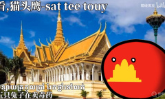 《看，猫头鹰》梗介绍