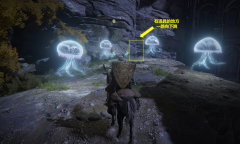 《艾尔登法环》“死眠少女”菲雅-结局分支 “潜藏者时代”