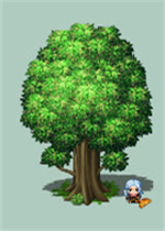 农民的慢生活故事