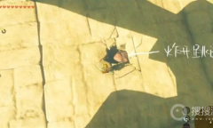 《塞尔达传说王国之泪》雷神兽头盔获取教程