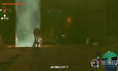 《塞尔达传说：王国之泪》雷之圣殿过法