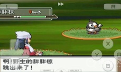 《口袋妖怪心金》金手指代码一览