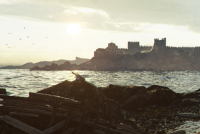 《瘟疫传说安魂曲》第三章动画闪退怎么解决