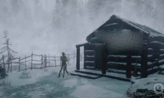 《森林之子》友伤关闭方法