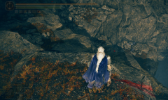 《艾尔登法环黄金树幽影》青蓝海岸怎么去