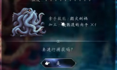 《八方旅人2》猎人宠物10星梅伊尔史多洛姆捕获地点介绍