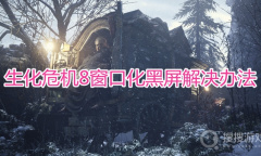 《生化危机8》窗口化黑屏怎么办