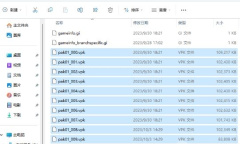 CS2国服反和谐教程
