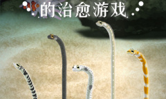 愈合你的伤口 治愈手游推荐