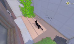 《小猫咪大城市》3根肉骨头在哪