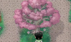 《绯色修仙录》桃花村五个帮忙任务方法