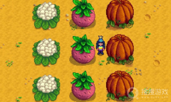 《星露谷物语》1.6巨大作物一览