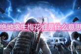 《绝地求生》梅花桩是什么意思