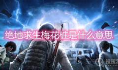 《绝地求生》梅花桩是什么意思