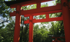 步行模拟游戏《Lushfoil Photography Sim》上架steam