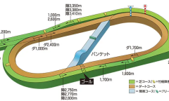 《赛马娘》各赛马场地形介绍