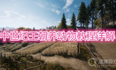 《中世纪王朝》养动物教程详解