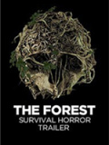The Forest