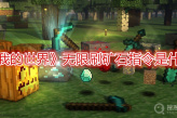 《我的世界》无限刷矿石指令是什么
