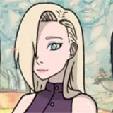 女忍训练师(附赞助商代码)